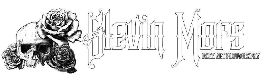Web Logo